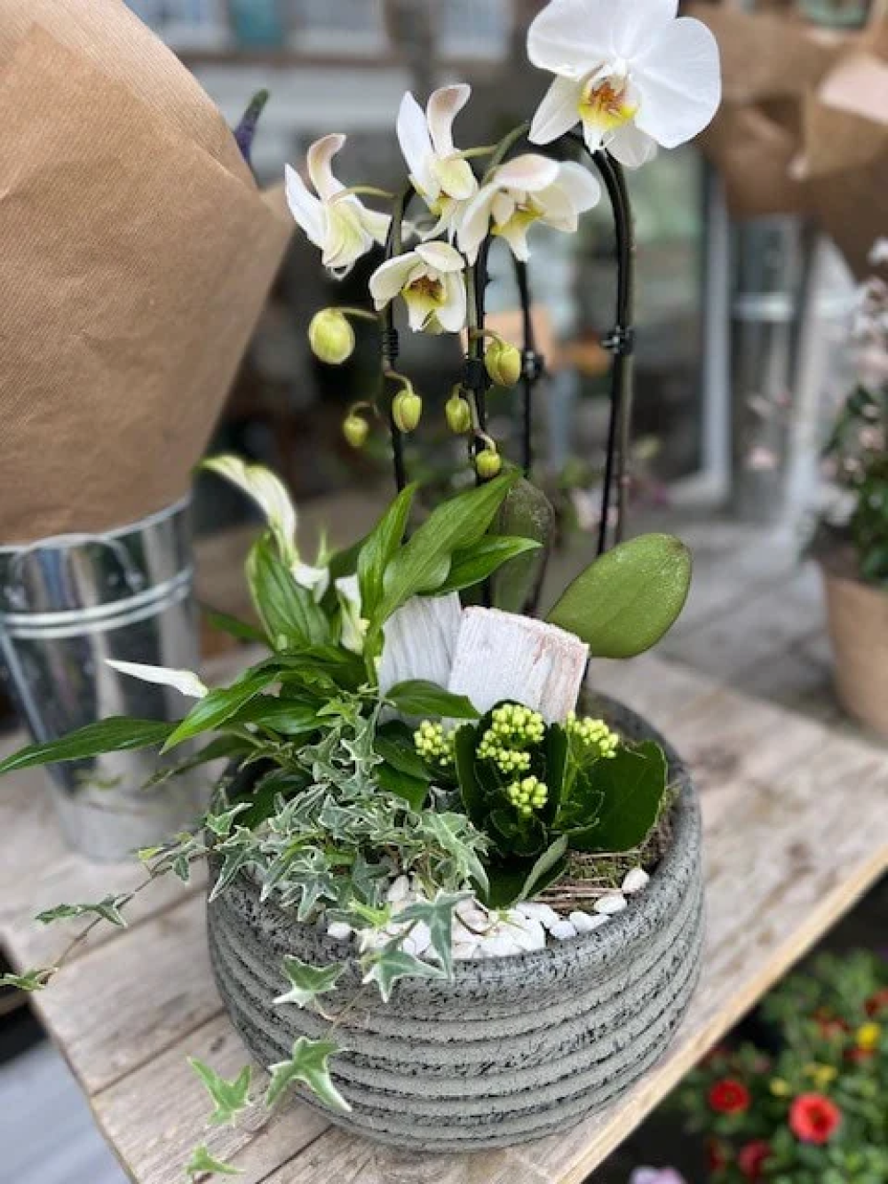 Luxury Orchid Planter
